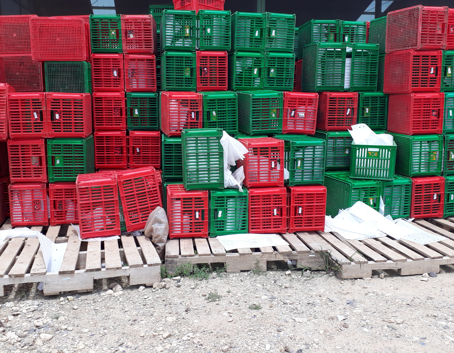  Plastic Crates